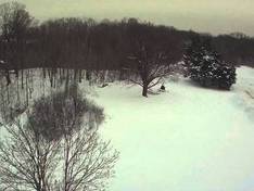 Vidéo Earl Bales – North York (Toronto)