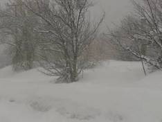 Vidéo 3-5 Pigadia – Náoussa