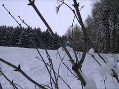 Vidéo Hanslmühle – Mauern