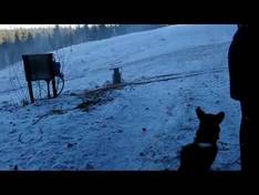 Vidéo Aboda Klint – Högsby