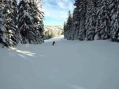 Vidéo Schwarzenbachlift – Altglashütten